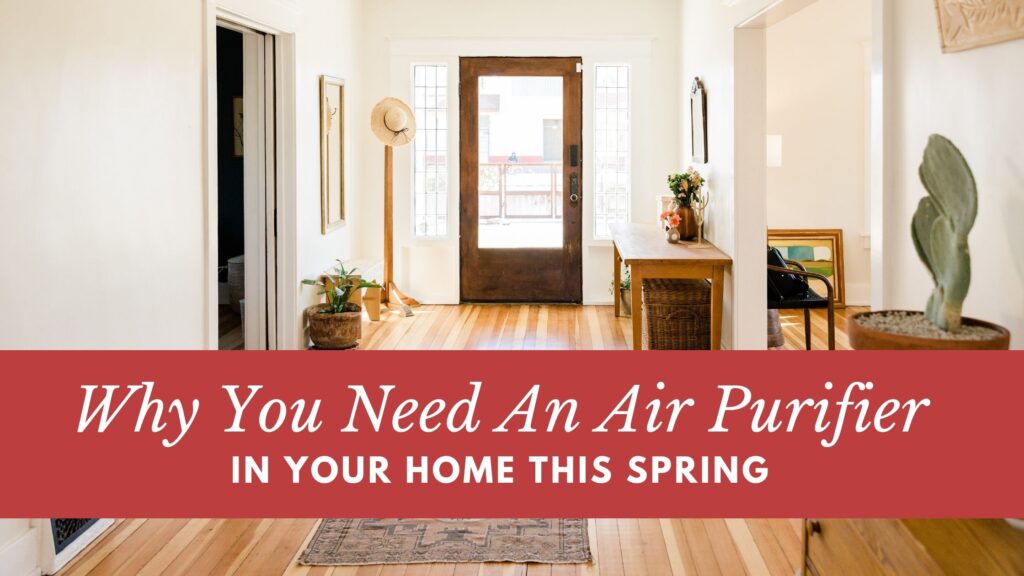 Why You Need An Air Purifier In Your Home This Spring