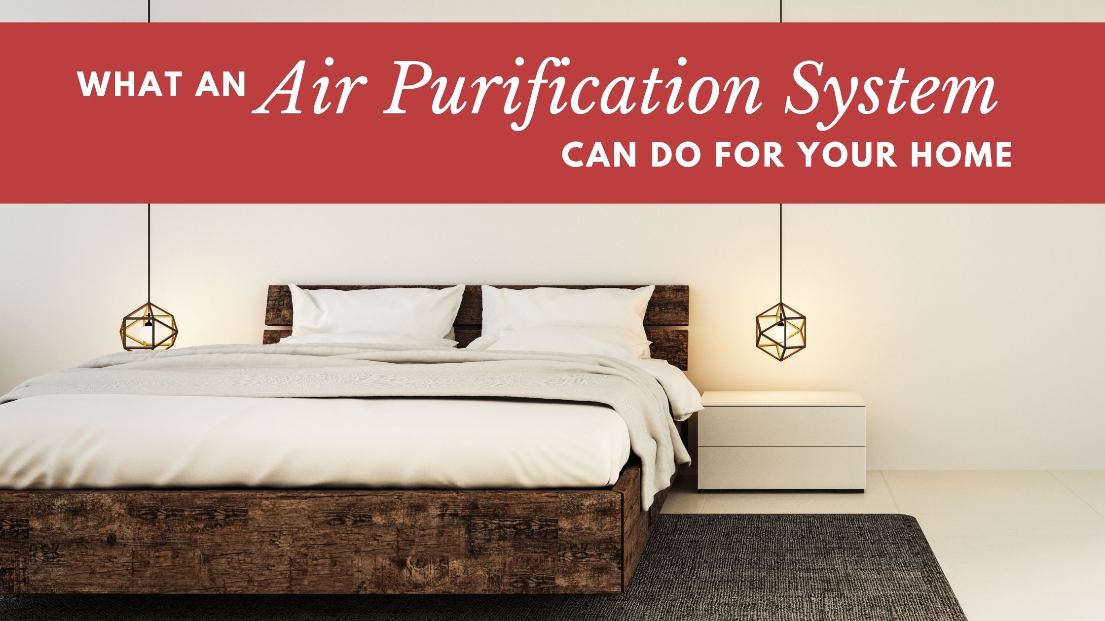 Air Purification System