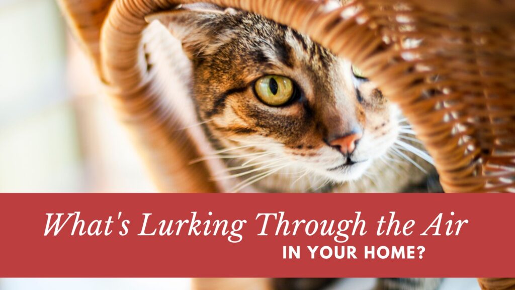What’s Lurking Through the Air In Your Home?