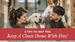 6 Tips to Help You Keep A Clean Home with Pets