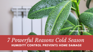 7 Powerful Reasons Cold Season Humidity Control Prevents Home Damage