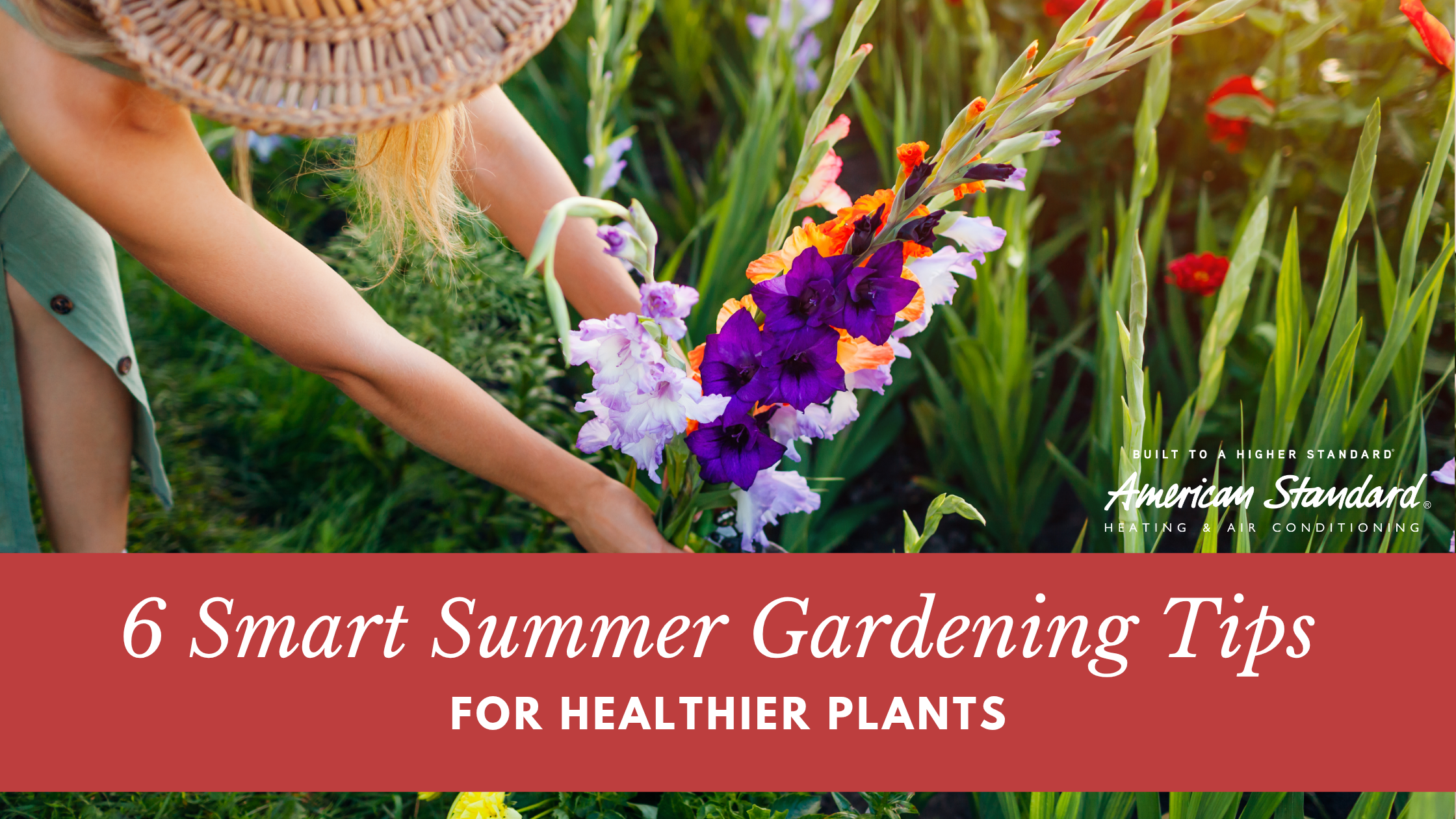 6 Smart Summer Gardening Tips for Healthier Plants